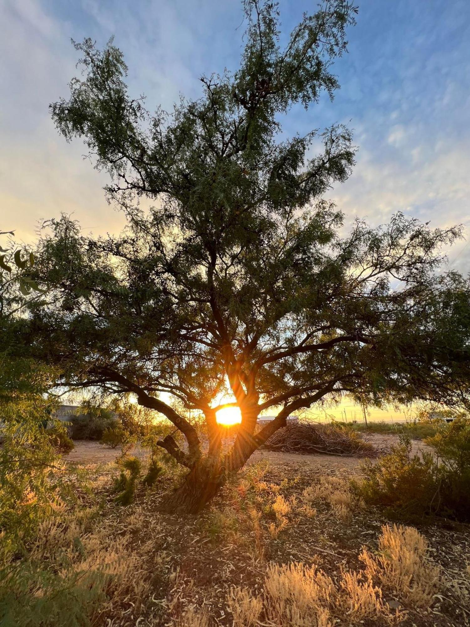 Hole In The Wall Getaway - Usa Mexico Border Bed And Breakfast Columbus ภายนอก รูปภาพ