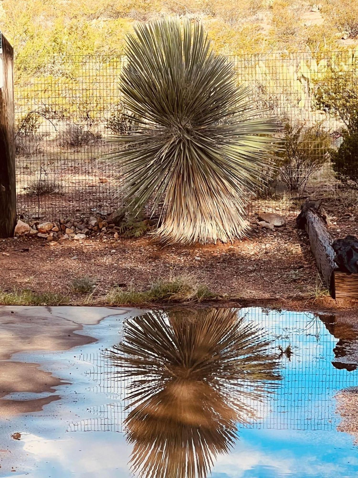 Hole In The Wall Getaway - Usa Mexico Border Bed And Breakfast Columbus ภายนอก รูปภาพ