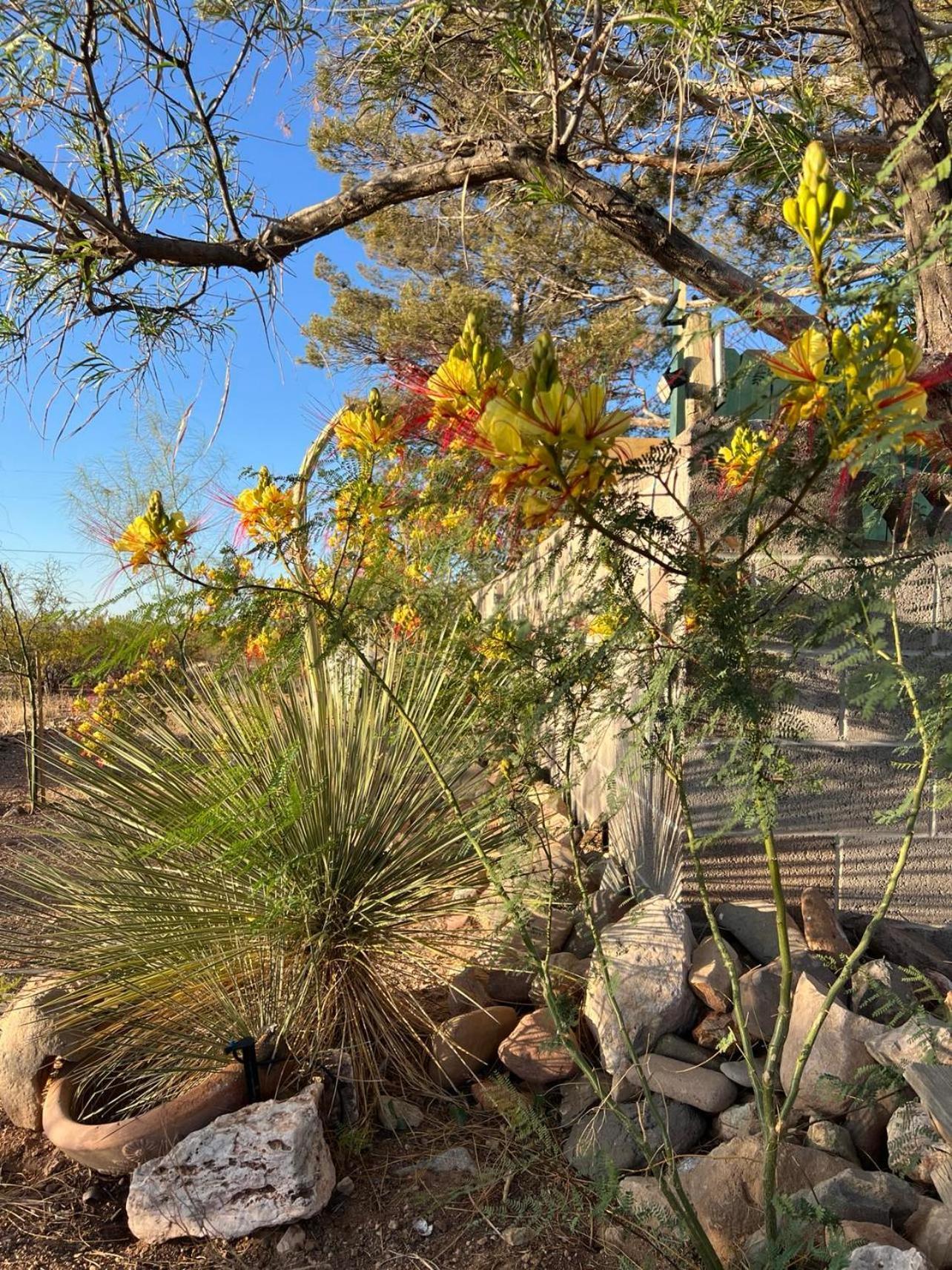 Hole In The Wall Getaway - Usa Mexico Border Bed And Breakfast Columbus ภายนอก รูปภาพ